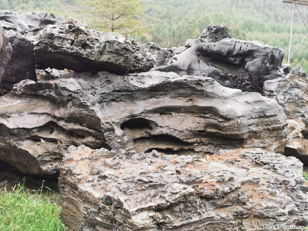 风景石、假山石大量有货，有需要的欢迎联系 - 新手上路 - 崇左生活社区 - 崇左28生活网 chongzuo.28life.net