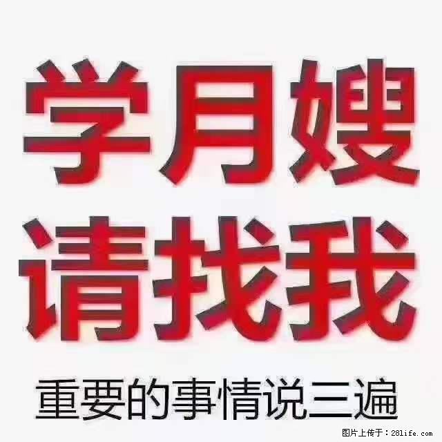 为什么要学习月嫂，育婴师？ - 新手上路 - 崇左生活社区 - 崇左28生活网 chongzuo.28life.net