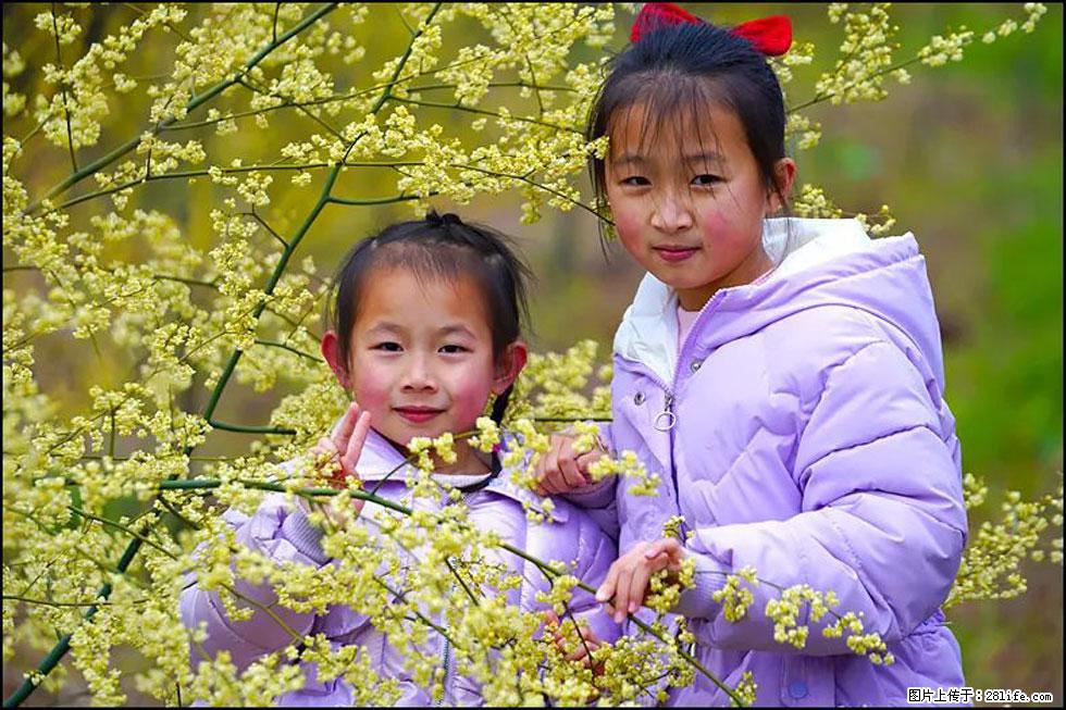 【春天，广西桂林灌阳县向您发出邀请！】米珠山前有片山苍子花在飘香 - 游山玩水 - 崇左生活社区 - 崇左28生活网 chongzuo.28life.net