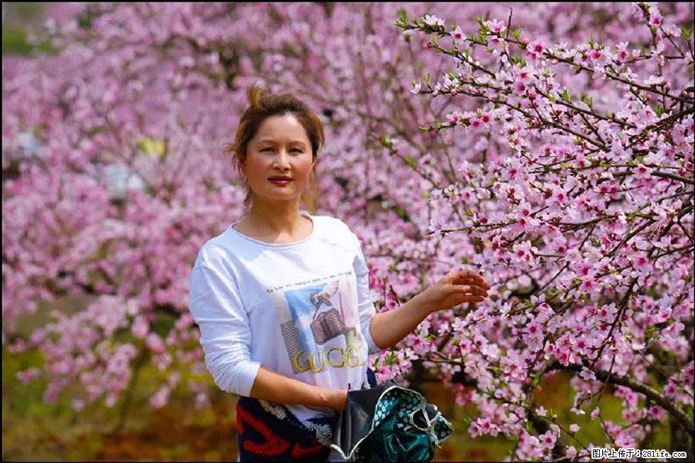 【春天，广西桂林灌阳县向您发出邀请！】官庄村有个醉美的桃花园 - 游山玩水 - 崇左生活社区 - 崇左28生活网 chongzuo.28life.net