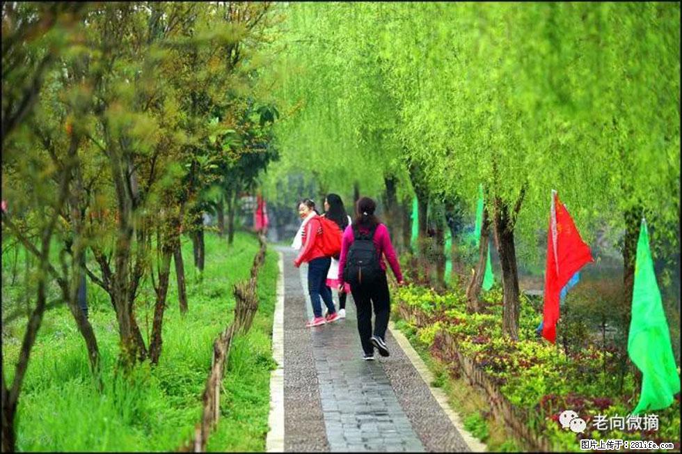 【春天，广西桂林灌阳县向您发出邀请！】江口老街又逢春 - 游山玩水 - 崇左生活社区 - 崇左28生活网 chongzuo.28life.net