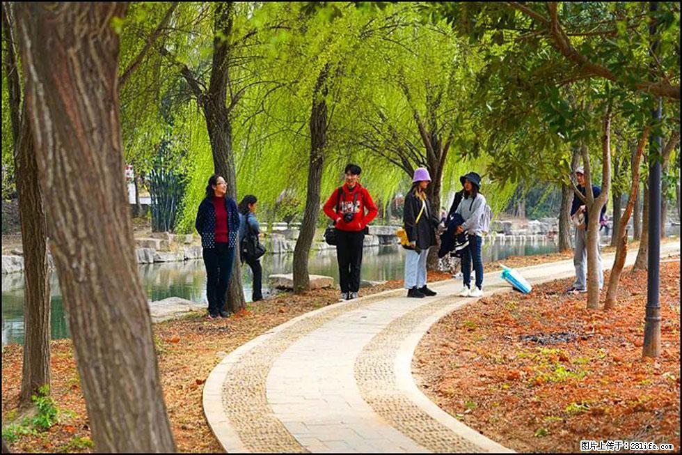 【春天，广西桂林灌阳县向您发出邀请！】江口老街又逢春 - 游山玩水 - 崇左生活社区 - 崇左28生活网 chongzuo.28life.net