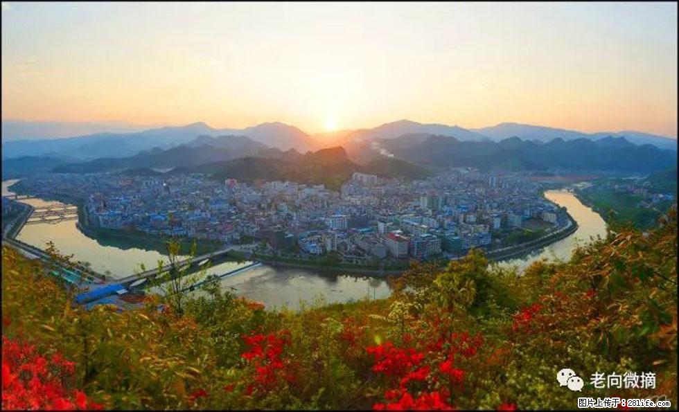 【春天，广西桂林灌阳县向您发出邀请！】登麒麟山，相约映山红 - 游山玩水 - 崇左生活社区 - 崇左28生活网 chongzuo.28life.net