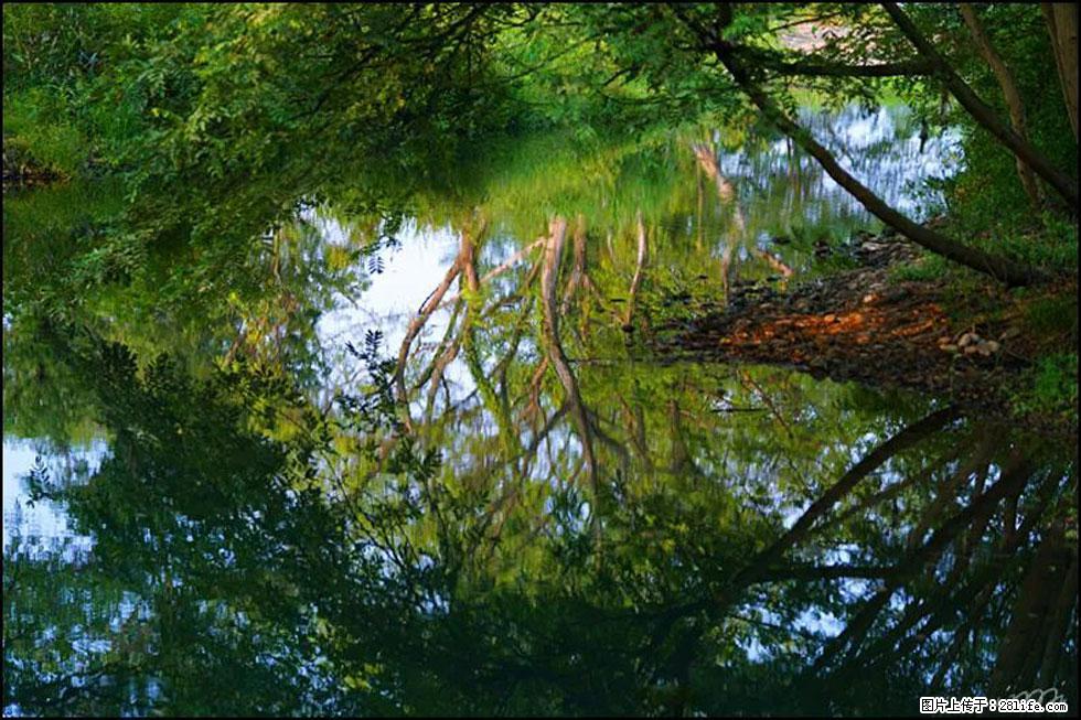 【春天，广西桂林灌阳县向您发出邀请！】熊家寨湿地公园 - 游山玩水 - 崇左生活社区 - 崇左28生活网 chongzuo.28life.net