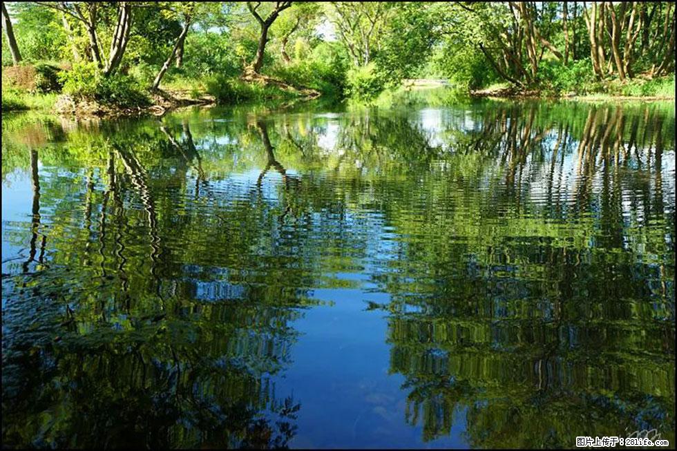 【春天，广西桂林灌阳县向您发出邀请！】熊家寨湿地公园 - 游山玩水 - 崇左生活社区 - 崇左28生活网 chongzuo.28life.net