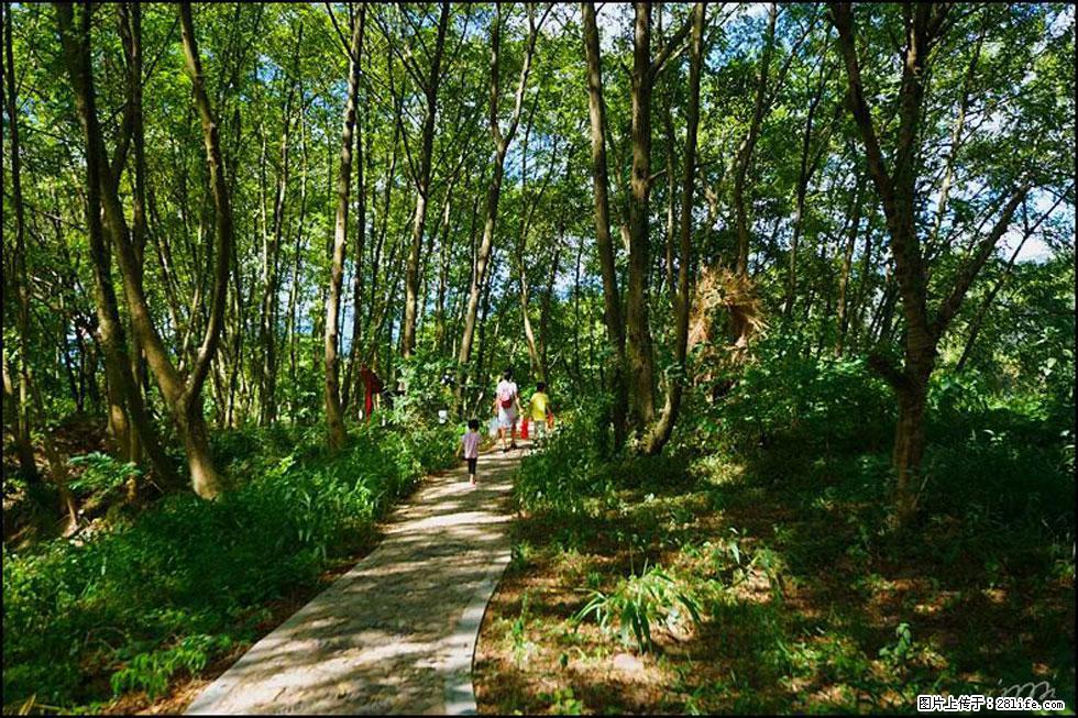 【春天，广西桂林灌阳县向您发出邀请！】熊家寨湿地公园 - 游山玩水 - 崇左生活社区 - 崇左28生活网 chongzuo.28life.net