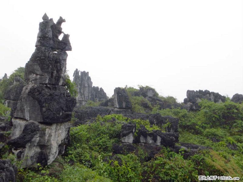 桂林旅游名城景点：灌阳文市石林 - 游山玩水 - 崇左生活社区 - 崇左28生活网 chongzuo.28life.net