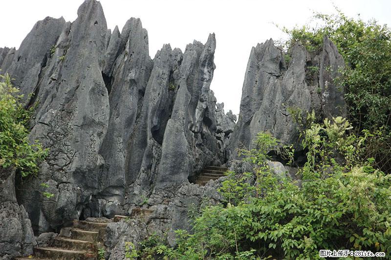 桂林旅游名城景点：灌阳文市石林 - 游山玩水 - 崇左生活社区 - 崇左28生活网 chongzuo.28life.net