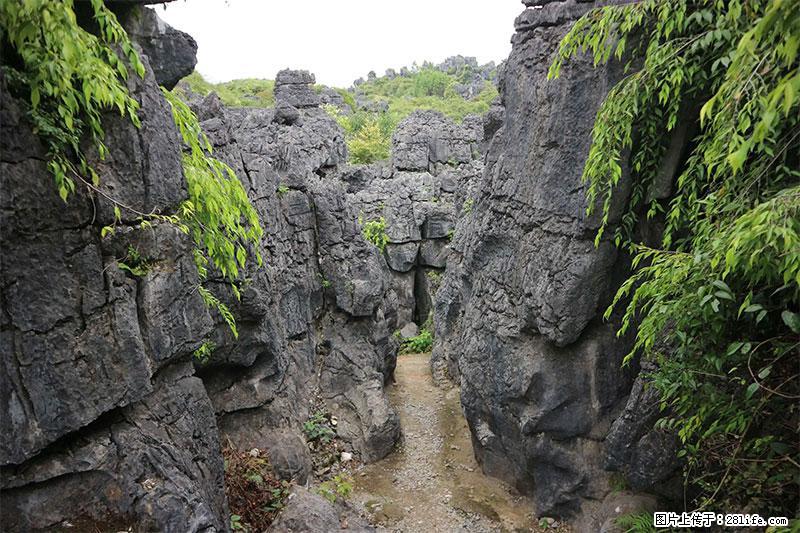 桂林旅游名城景点：灌阳文市石林 - 游山玩水 - 崇左生活社区 - 崇左28生活网 chongzuo.28life.net