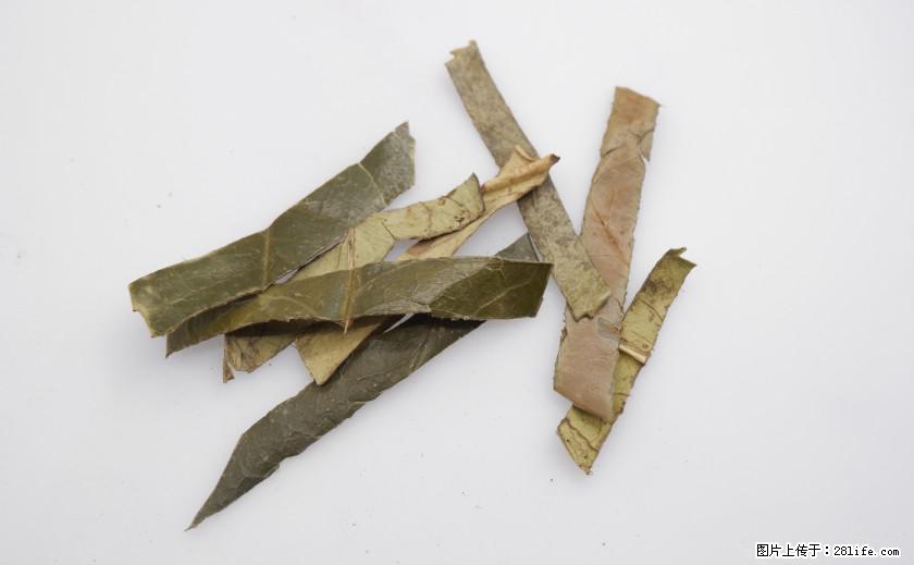 苦丁茶有哪些功效和作用 - 生活百科 - 崇左生活社区 - 崇左28生活网 chongzuo.28life.net