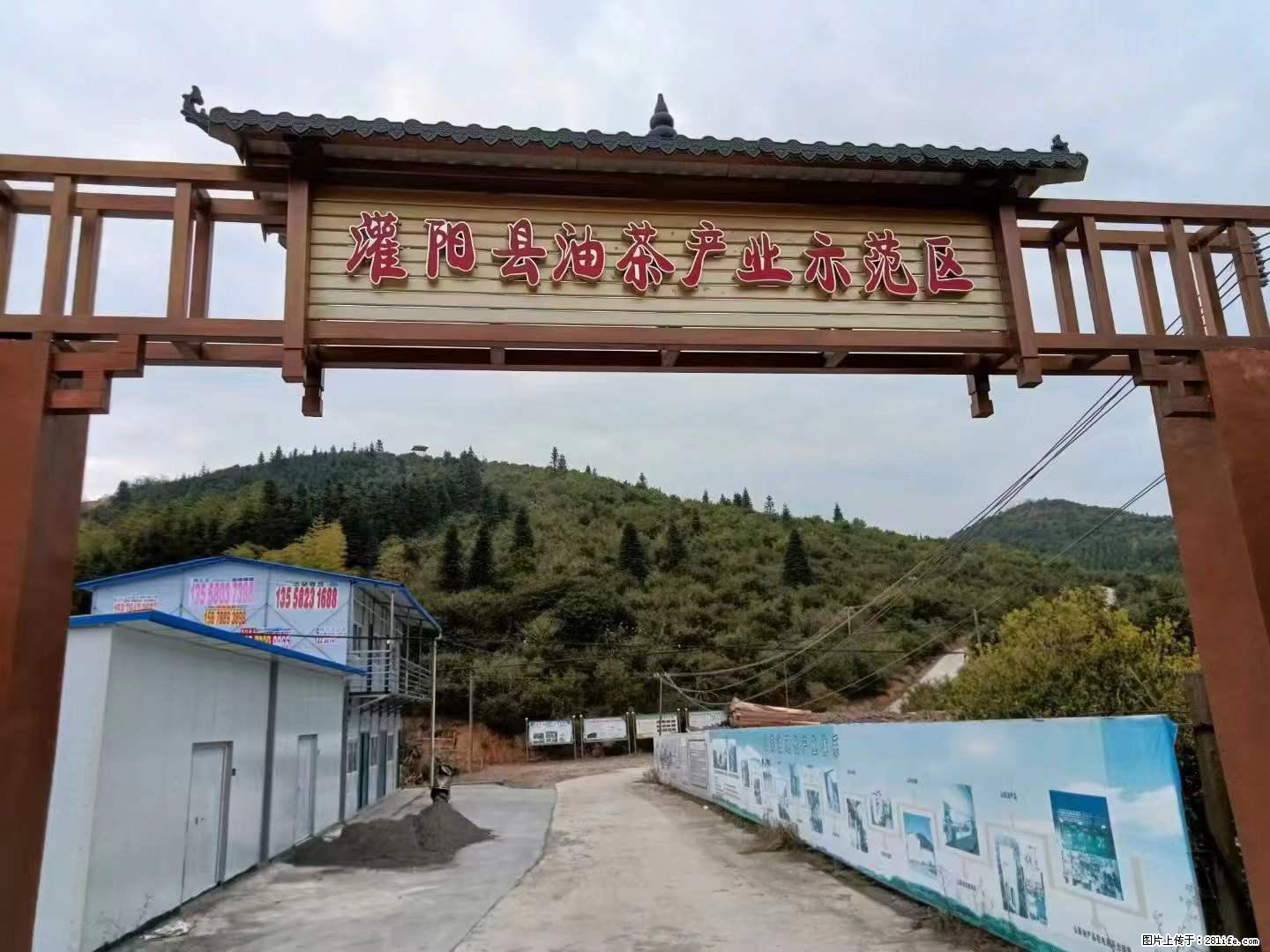 【灌阳县油茶产业示范区】一个有着充实的精神生活的人，对待身外之物自会有一种淡泊的态度 - 美食天地 - 崇左生活社区 - 崇左28生活网 chongzuo.28life.net