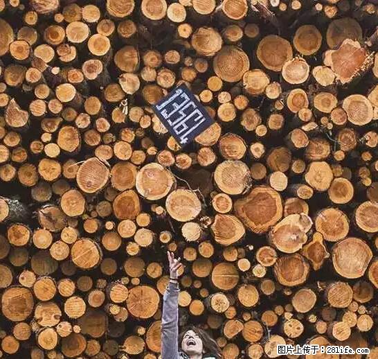 辞掉工作周游世界？现在他们在洗厕所…… - 游山玩水 - 崇左生活社区 - 崇左28生活网 chongzuo.28life.net