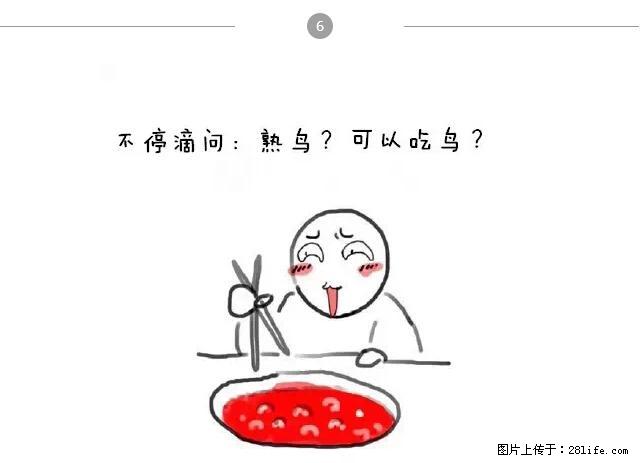 千万不要和这9种哈卵一起吃火锅！ - 美食天地 - 崇左生活社区 - 崇左28生活网 chongzuo.28life.net