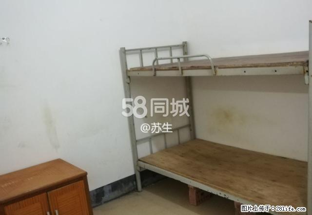 浦寨 1室1厅1卫 - 房屋出租 - 房屋租售 - 崇左分类信息 - 崇左28生活网 chongzuo.28life.net