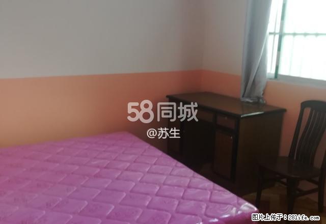 万和福龙苑-南门 2室1厅1卫 - 房屋出租 - 房屋租售 - 崇左分类信息 - 崇左28生活网 chongzuo.28life.net