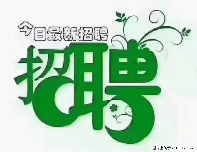 【招聘摄像师】待遇：试用期6000元/月，转正7000元/月+五险一金+餐补+节日福利+奖金 - 其他招聘信息 - 招聘求职 - 崇左分类信息 - 崇左28生活网 chongzuo.28life.net
