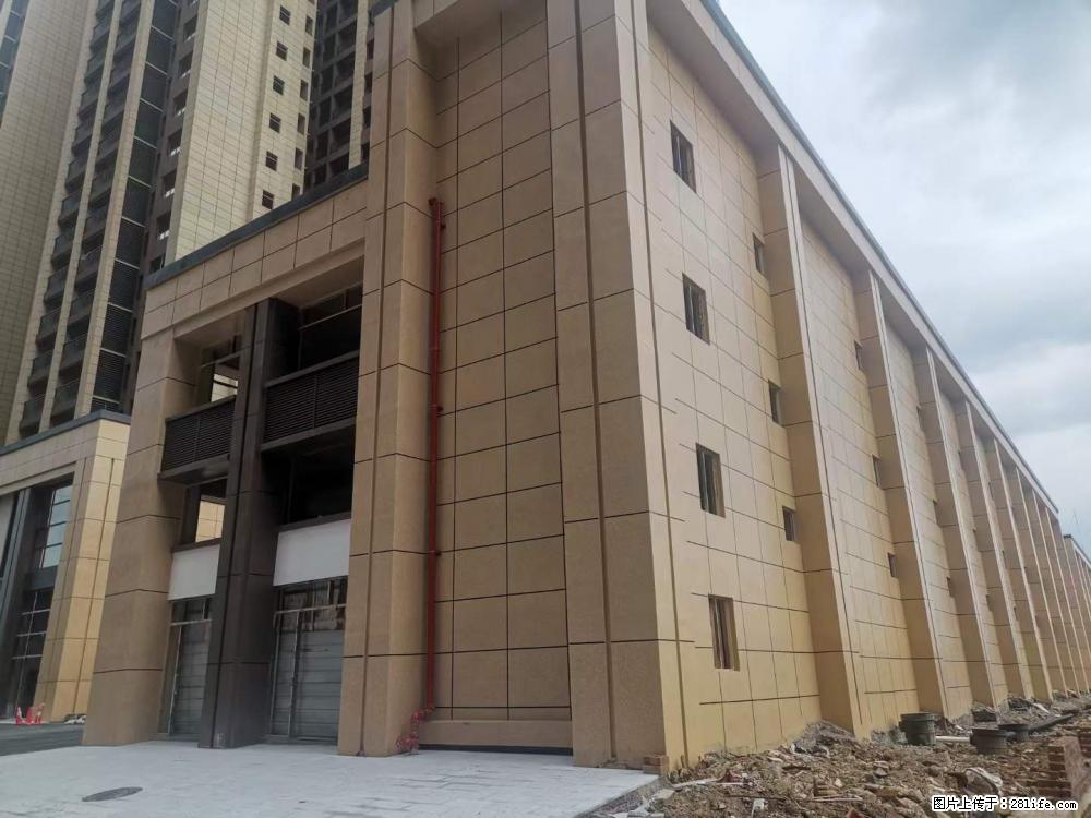 【广西三象建筑安装工程有限公司】外墙涂料工程 - 新手上路 - 崇左生活社区 - 崇左28生活网 chongzuo.28life.net
