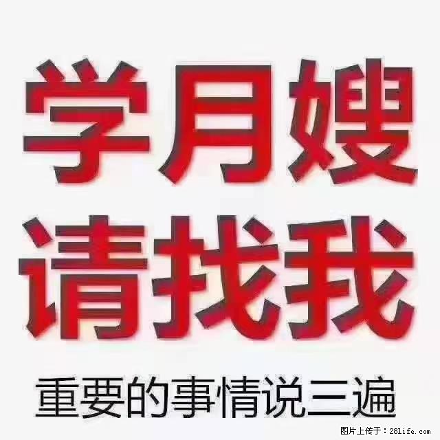 【招聘】月嫂，上海徐汇区 - 职场交流 - 崇左生活社区 - 崇左28生活网 chongzuo.28life.net