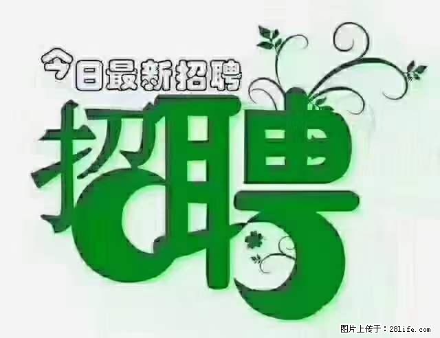 上海隔离酒店招人：55岁以下 男女不限 - 职场交流 - 崇左生活社区 - 崇左28生活网 chongzuo.28life.net