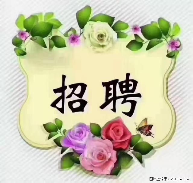 【招聘】住家育儿嫂，上户日期：4月4日，工作地址：上海 黄浦区 - 职场交流 - 崇左生活社区 - 崇左28生活网 chongzuo.28life.net