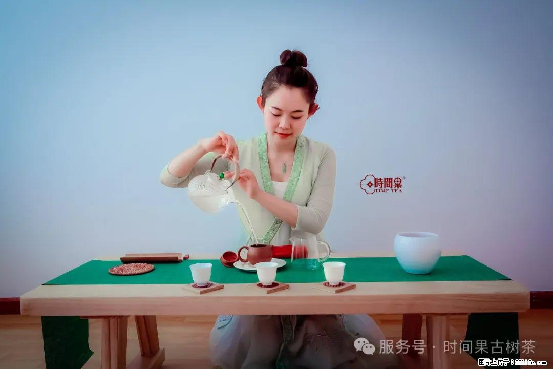 时间果百年古树龙珠普洱生茶 - 购物交流 - 崇左生活社区 - 崇左28生活网 chongzuo.28life.net