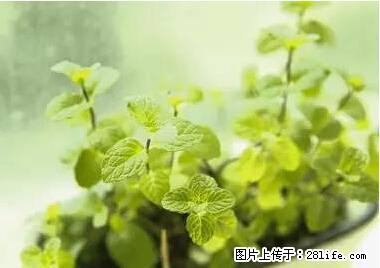 晕车、脚气、牙齿变黄、皮肤粗糙？学会这些三分钟搞定！ - 崇左生活资讯 - 崇左28生活网 chongzuo.28life.net