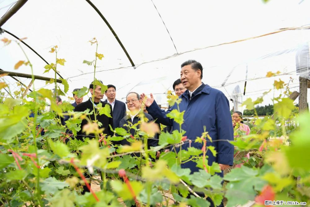 习近平赴广西考察调研 - 崇左生活资讯 - 崇左28生活网 chongzuo.28life.net