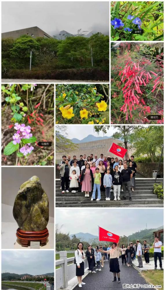 “粤灌文化 美好生活”油茶文化主题活动在广东深圳成功举办 - 崇左生活资讯 - 崇左28生活网 chongzuo.28life.net