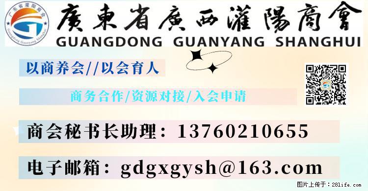 “粤灌文化 美好生活”油茶文化主题活动在广东深圳成功举办 - 崇左生活资讯 - 崇左28生活网 chongzuo.28life.net