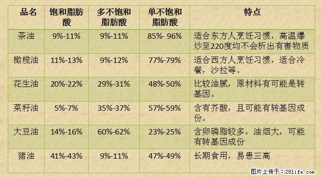 揭秘茶油的5大核心营养成分！被称为人体健康的“守护盾”！ - 崇左生活资讯 - 崇左28生活网 chongzuo.28life.net