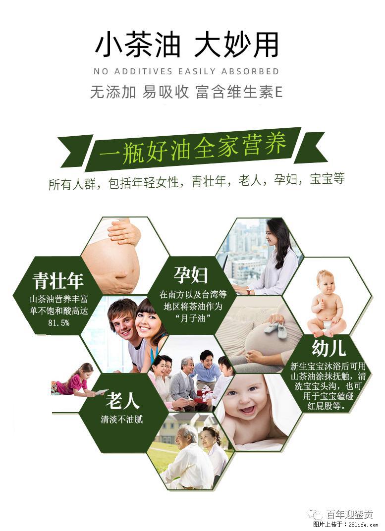 世界没有真相，只有认知，最好的食用油是中国的山茶油！ - 崇左生活资讯 - 崇左28生活网 chongzuo.28life.net