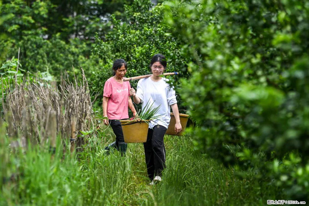 全网追的“扁担女孩”，找了一份暑假工，时薪12元 - 崇左生活资讯 - 崇左28生活网 chongzuo.28life.net