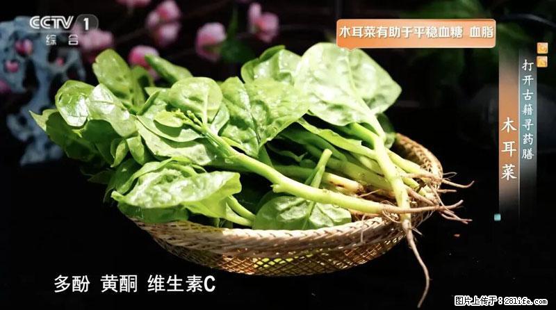 比牛奶补钙还厉害！凉血解毒、稳血糖...这菜冬天必吃，很多人却当草 - 崇左生活资讯 - 崇左28生活网 chongzuo.28life.net