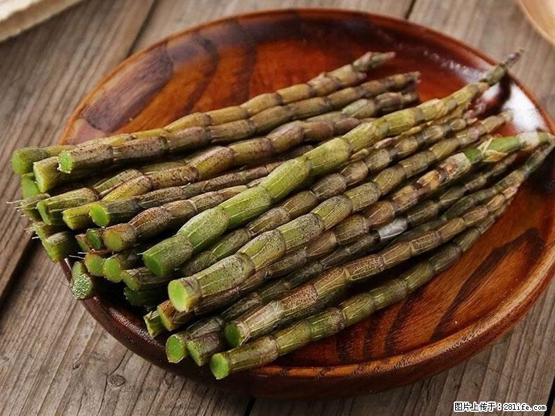 铁皮石斛的作用与功能主治 - 崇左生活资讯 - 崇左28生活网 chongzuo.28life.net