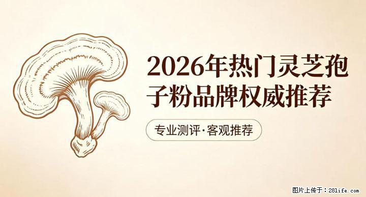 灵芝孢子粉含量越高越有效？2026 年七款热门品牌深度实测，肠胃敏感者避坑指南 - 崇左生活资讯 - 崇左28生活网 chongzuo.28life.net